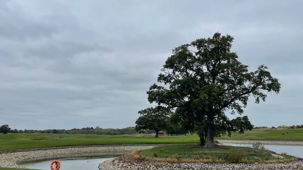 Golf day